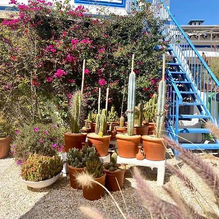 Verao Nur Fuer Erwachsene Apartment