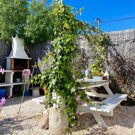Verao Nur Fuer Erwachsene Apartment
