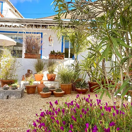 Casa Da Aldeia *